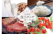 【定期便4回】強力タッグコース春季分(2026年5月スタート) さくらんぼ 山形牛ステーキ つや姫 酒 hi999-040