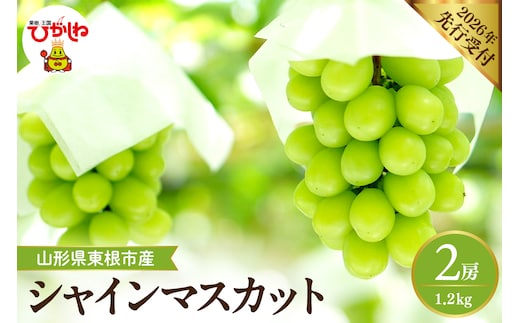【2026年産】 シャインマスカット 約1.2kg (2房入) 山形県 東根市 hi026-054