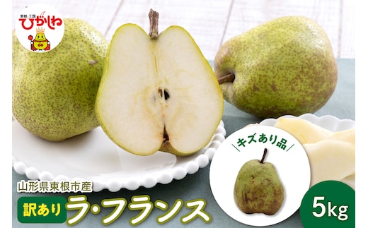 【令和8年産 先行予約】山形 ラ・フランス 家庭用（訳あり）5kg 山形県 東根市 鈴木農園提供 hi069-020