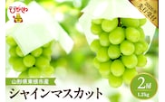 【2026年産】 シャインマスカット 約1.2kg (2房入) 山形県 東根市 hi026-054