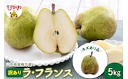 【令和8年産 先行予約】山形 ラ・フランス 家庭用（訳あり）5kg 山形県 東根市 鈴木農園提供 hi069-020