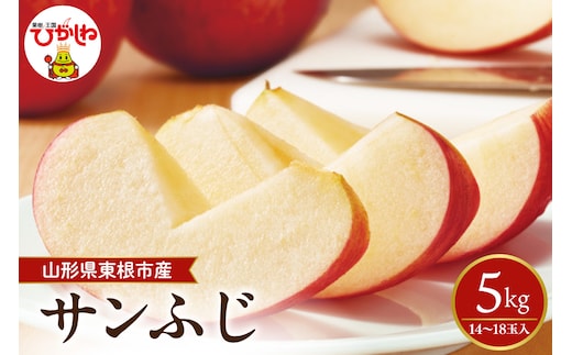 【2026年産】 太陽の恵みをいっぱいに浴びたりんご「サンふじ」 約5kg (14～18玉入) 山形県 東根市 hi026-062