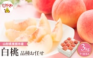 【2026年産】 採れたて白桃(品種お任せ) 約3kg (7～12玉) 山形県 東根市　hi026-055