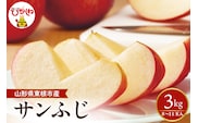 【2026年産】 太陽の恵みをいっぱいに浴びたりんご「サンふじ」 約3kg (8～11玉入) 山形県 東根市　hi026-061