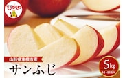 【2026年産】 太陽の恵みをいっぱいに浴びたりんご「サンふじ」 約5kg (14～18玉入) 山形県 東根市　hi026-062