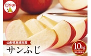 【2026年産】 太陽の恵みをいっぱいに浴びたりんご「サンふじ」 約10kg(28～36玉入) 山形県 東根市　hi026-063