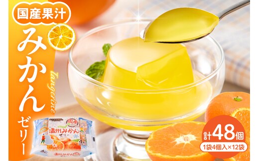 国産温州みかんゼリー1袋4個入×12袋 和歌山産業提供 山形県 東根市 hi070-005