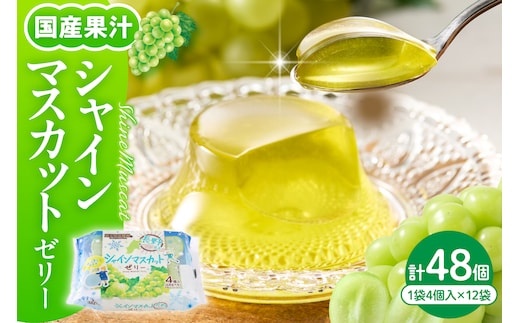 シャインマスカットゼリー1袋4個入×12袋 和歌山産業提供 山形県 東根市 hi070-007