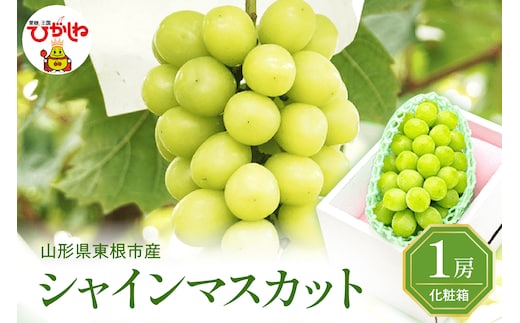 2026年ぶどう「シャインマスカット」秀品 化粧箱入り 1房(約600g) 東根農産センター提供 山形県 東根市 hi027-233