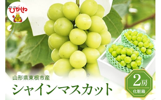 2026年ぶどう「シャインマスカット」秀品 化粧箱入り 2房(約1.2kg) 東根農産センター提供 山形県 東根市 hi027-234