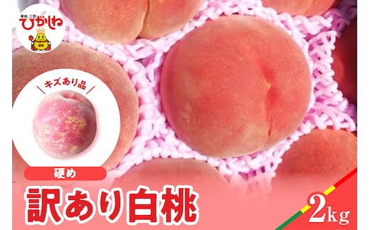 【2026年産】白桃 品種おまかせ 訳あり2kg(硬め) 松栗提供 山形県 東根市 hi062-058