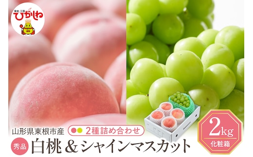 【2026年】東根市産 白桃（品種おまかせ）＆シャインマスカット 詰め合わせ 秀品 化粧箱入り 2kg 山形県 東根市 hi027-243
