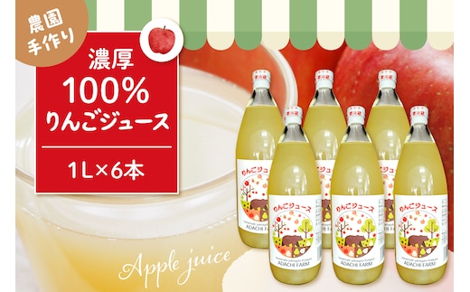 100％りんごジュース 1L 6本セット 山形県 東根市 hi037-007