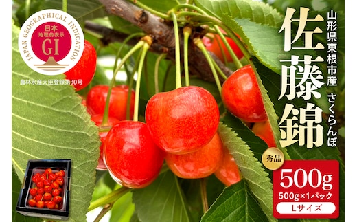 【2026年産 先行予約】GI東根さくらんぼ「佐藤錦」秀品 500gバラ詰め（500g×1パック） Lサイズ 山形県 東根市 hi088-010
