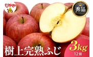 【2026年産】 樹上完熟ふじりんご 秀品 3kg 化粧箱（12個詰め） 山形県 東根市 JA提供 hi001-049