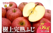 【2026年産】 樹上完熟ふじりんご 赤秀 5kg箱（16、18、20個詰め） 山形県 東根市 JA提供 hi001-051
