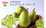 【2026年産】 西洋梨 マルゲリットマリーラ 5kg 秀品 化粧箱入り 山形県 東根市 東根農産センター提供 hi027-189-r8