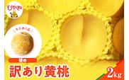 【2026年産】黄桃 品種おまかせ 訳あり2kg(硬め)松栗提供 山形県 東根市 hi062-063