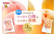 【瞬間冷凍】東根市産 カット済み 白桃＆黄桃 各500g 東根農産センター提供 hi027-254