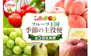 【2026年 先行予約 5回定期便】2026年 フルーツ王国 季節の主役便 千笑花夢提供 山形県 東根市 hi082-046