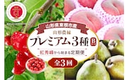 【2026年 3回定期便】山形農縁プレミアム3種B ～さくらんぼ紅秀峰から始まる～ 千笑花夢提供 山形県 東根市 hi082-065b