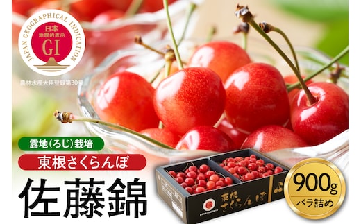 【2026年産 先行予約】GI 「東根さくらんぼ」佐藤錦 900g バラ詰め JA園芸部提供 山形県 東根市 hi001-039