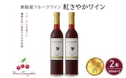 紅さやかワイン500ml×2本セット 山形県 東根市 合同会社 Fruit Winery Esprit提供 hi108-004