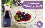 フルーツソース320g　ブルーベリー（6本）和歌山産業提供 山形県 東根市 hi070-001