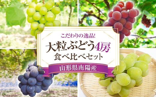 【令和8年産先行予約】 大粒ぶどう 食べ比べセット おまかせ4房 《令和8年9月上旬～発送》 『うえ木ぶどう園』 葡萄 ブドウ 果物 フルーツ デザート 食べ比べ 山形県 南陽市 [675]