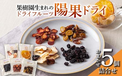果樹園生まれの ドライフルーツ 「陽果ドライ」 おまかせ5個詰合せ 『漆山果樹園』 山形県 南陽市 [494]