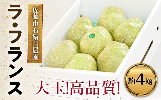 【令和7年産】 十三代目 佐藤市右衛門 特大玉 ラ・フランス 約4kg (7玉 秀) 『旬の果実 佐藤市右衛門農園』 山形県 南陽市 [678]