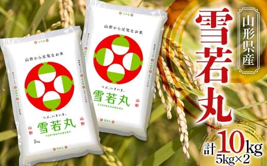 【令和7年産】 JA 雪若丸 10kg (5kg×2袋) 『JA山形おきたま』 山形県産 米 精米 山形県 南陽市 [843]