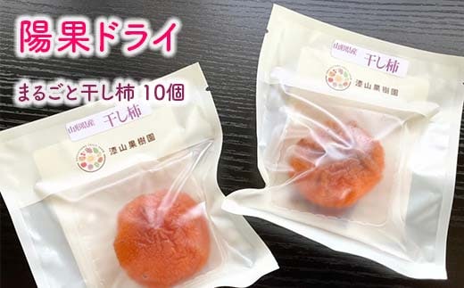 果樹園生まれの 常温乾燥機で作る 「陽果ドライ まるごと干し柿」 10個 《令和7年12月上旬～発送》 『漆山果樹園』 山形県 南陽市 [853]