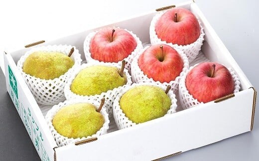 【令和8年産先行予約】 JA ラ・フランス と ふじリンゴ の詰合せ 計約4kg 《令和8年11月中旬～12月上旬発送》 『JA山形おきたま』 山形県 南陽市 [716-R8]