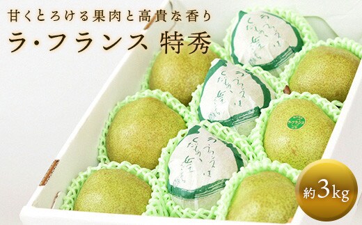 【令和7年産先行予約】 十三代目 佐藤市右衛門 ラ・フランス 約3kg (7～10玉 特秀 3～6L) 《令和7年11月上旬～発送》 『旬の果実 佐藤市右衛門農園』 山形県 南陽市 [677]