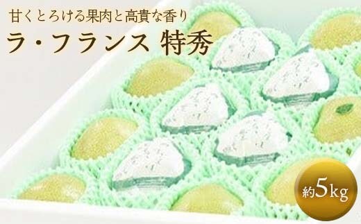 【令和7年産先行予約】 十三代目 佐藤市右衛門 ラ・フランス 約5kg (10～16玉 特秀 3～6L) 《令和7年11月上旬～発送》 『旬の果実 佐藤市右衛門農園』 山形県 南陽市 [679]