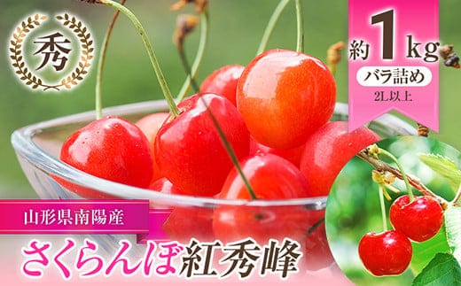 【令和8年産先行予約】 さくらんぼ 「紅秀峰」 約1kg (秀 2L以上) バラ詰め 《令和8年6月下旬～発送》 『生産者おまかせ』 サクランボ 果物 フルーツ 産地直送 山形県 南陽市 [985]