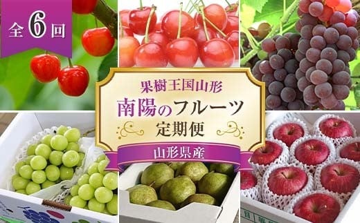 【令和8年産先行予約】 《定期便6回》 果樹王国山形 南陽のフルーツ定期便A 『マルエ青果』 果物 くだもの フルーツ 山形県 南陽市 [1105-R8]