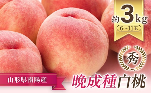 【令和9年産先行予約】 晩成のもも「だて白桃・さくら・西王母 等」 約3kg (6～11玉) 《令和9年9月中旬～発送》 『生産者 高橋 賢一』 桃 モモ 果物 フルーツ 産地直送 生産農家直送 山形県 南陽市 [1107-R9]