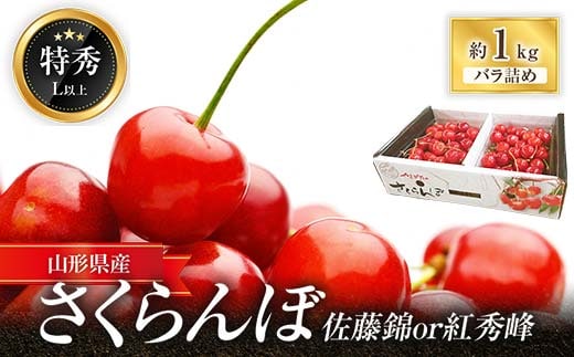 【令和8年産先行予約】 さくらんぼ「佐藤錦または紅秀峰」 約1kg (特秀 L以上) 《令和8年6月中旬～発送》 『マルエ青果』 先行予約 サクランボ 果物 フルーツ 山形県 南陽市 [1115]