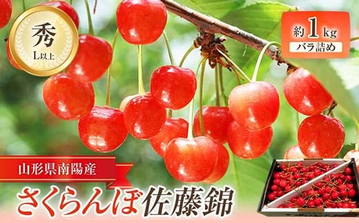 【令和8年産先行予約】 さくらんぼ 「佐藤錦」 約1kg (秀 L以上) バラ詰め 《令和8年6月中旬～発送》 『田口農園』 サクランボ フルーツ 産地直送 生産農家直送 山形県 南陽市 [1129]