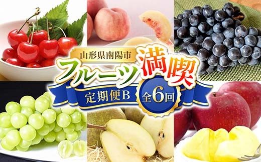 【令和8年産先行予約】 《定期便6回》 フルーツ満喫定期便B 『フードシステムズ』 さくらんぼ 桃 ぶどう シャインマスカット ラ・フランス りんご 果物 フルーツ 山形県 南陽市 [1139-R8]