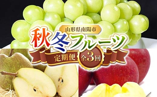 【令和8年産先行予約】 《定期便3回》 秋冬フルーツ定期便 『フードシステムズ』 シャインマスカット ラ・フランス りんご 果物 フルーツ 山形県 南陽市 [1150-R8]