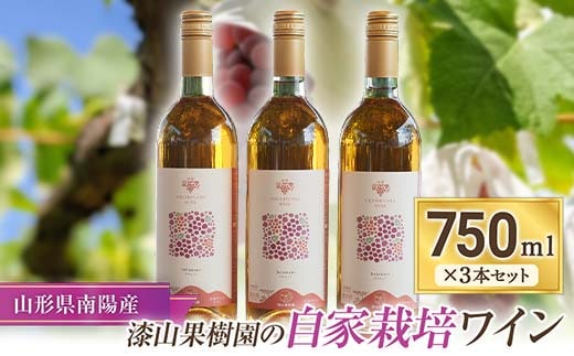 果樹園生まれの 「漆山ワイン (デラウェア)」 750ml×3本セット 『漆山果樹園』 自家栽培 山形県 南陽市 [1168]