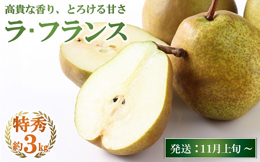 【令和8年産先行予約】 JA ラ・フランス 約3kg (8～10玉 特秀) 《令和8年11月上旬～12月上旬発送》 『JA山形おきたま』 洋梨 果物 フルーツ 山形県 南陽市 [1177-R8]