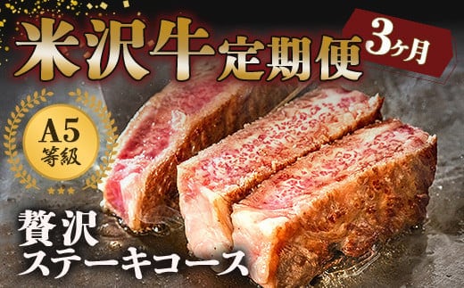 《定期便3回》 A5等級 米沢牛定期便 ステーキコース 《令和8年1月開始》 『(有)辰巳屋牛肉店』 山形県 南陽市 [1268]