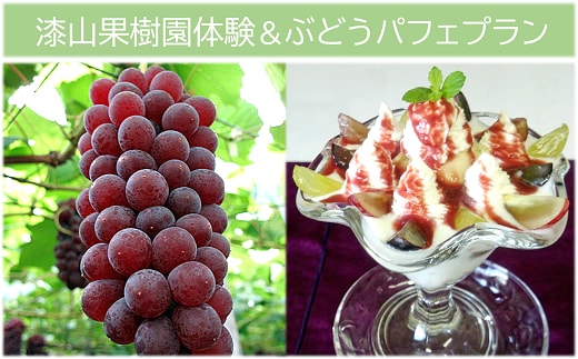 漆山果樹園 農業体験 & ぶどうパフェ プラン 2名様分 『漆山果樹園』 山形県 南陽市 [3014-1]