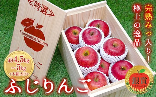 【令和7年産先行予約】 《特選》プレミアム 完熟みつ入りふじりんご 約4.5～5kg (約15玉 サイズおまかせ) 木箱入り 《令和7年12月中旬～発送》 【全国りんご選手権 銀賞】 『船中農園』 山形県 南陽市 [1454]