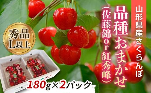 【令和8年産先行予約】 さくらんぼ 「佐藤錦または紅秀峰」 360g (180g×2パック 秀 L以上) 《令和8年6月上旬～発送》 『南陽中央青果市場』 サクランボ 山形県 南陽市 [1475]