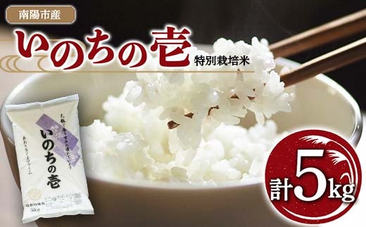 【金賞受賞農家】 令和7年産 特別栽培米 いのちの壱 5kg 『あおきライスファーム』 山形南陽産 米 白米 精米 ご飯 農家直送 山形県 南陽市 [1548]